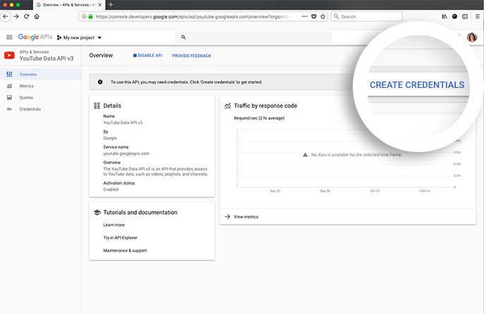 Click the Create Credentials buttons to begin using the new API