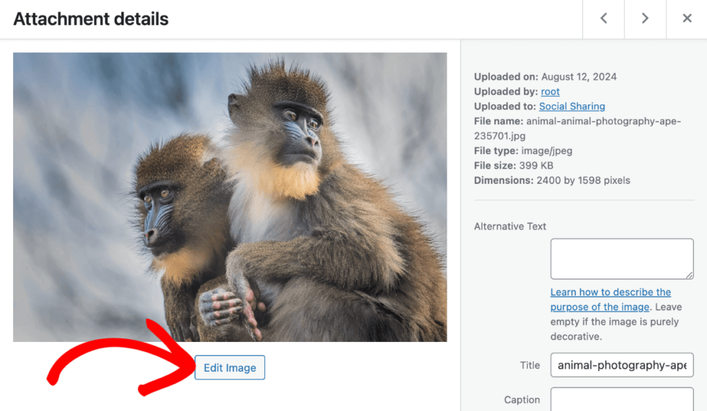 how to edit images in the WP media library