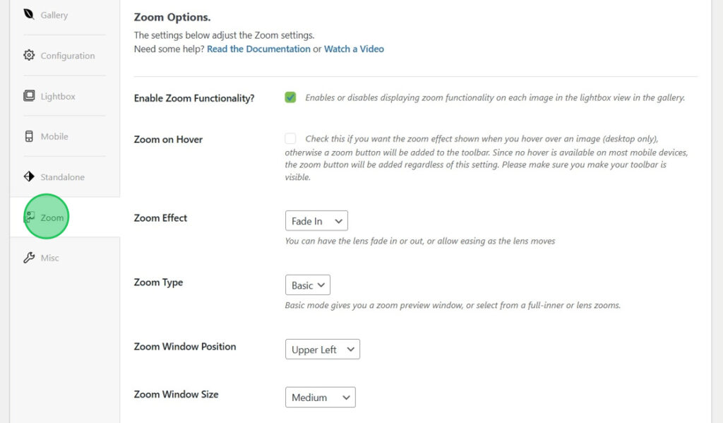Setup Zoom Addon