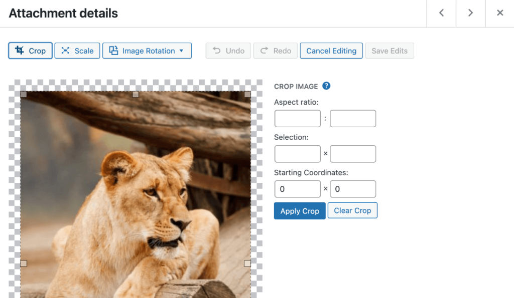 WordPress crop image in the editor