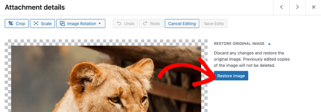 WordPress editor- restore image