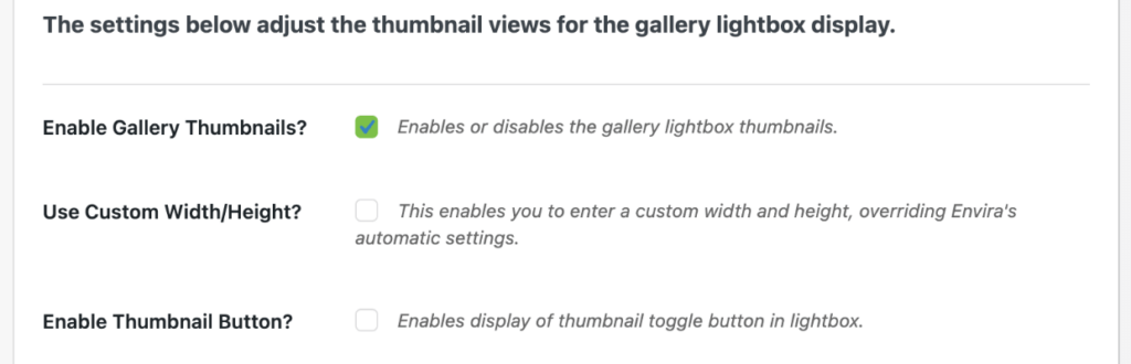 Envira Gallery Lightbox thumbnail settings