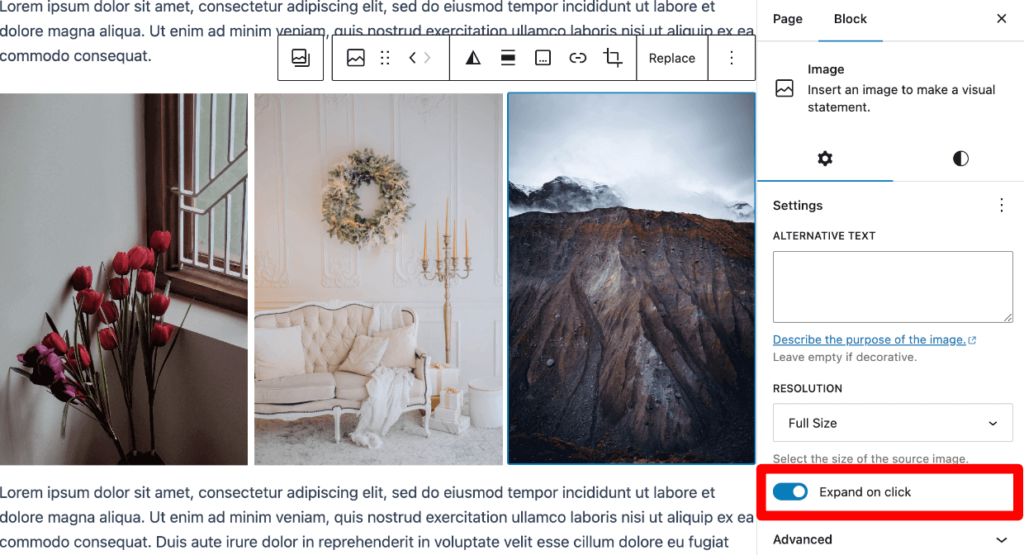 wordpress gallery lightbox without plugin - expand on click