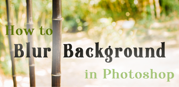 How To Blur Background in Photoshop | Envira Gallery