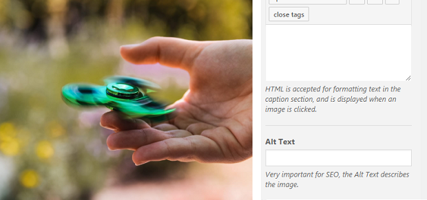 An image of a person using a green fidget spinner next to the image alt text entry box