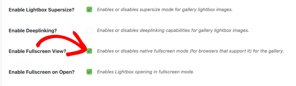 Enable Fullscreen View in Lightbox Settings