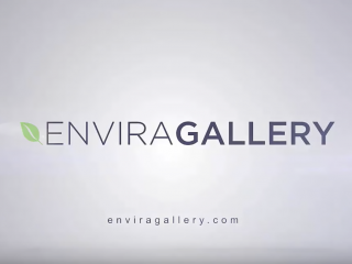 Envira Gallery overview