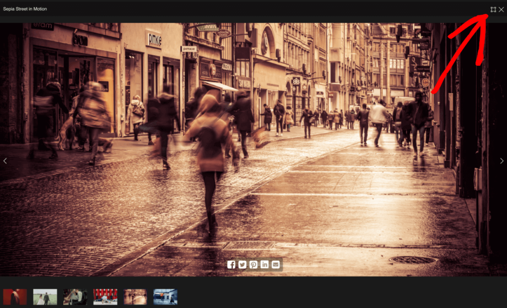 Full-screen gallery example with fullscreen lightbox icon 