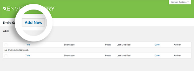 The 'Add New' button on Envira Gallery