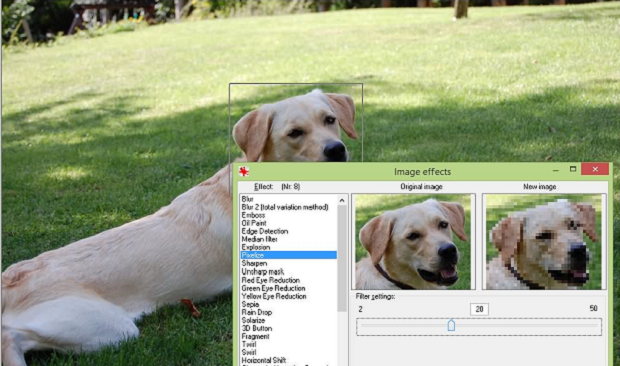 A list of image effects over a dog sitting in a yard