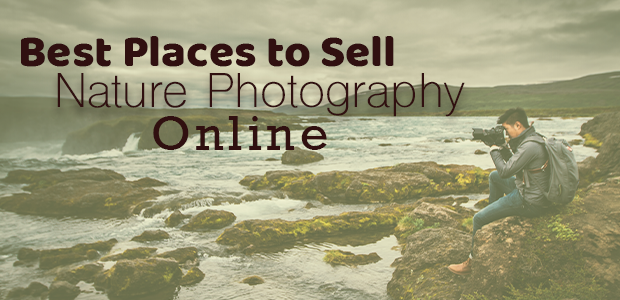 15 Places To Sell Nature Photography Online Envira Gallery