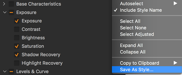 The Save As Style option within the adjustments menu