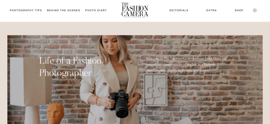 The Fashion Camera - fashion photography color palette example