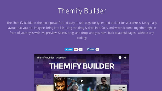 A simple purple background behind a quick blurb about Themify