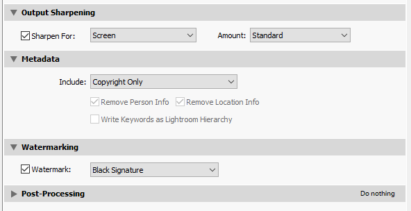 Watermark Export Dialog