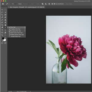 A Beginner’s Guide to Photoshop’s Pen Tool