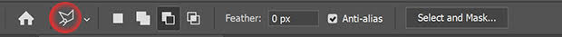 Lasso Tool Presets icon highlighted with red circle in Photoshop's toolbar