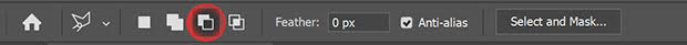 Lasso Tool Subtract from Selection icon highlighted with red circle in Photoshop's toolbar