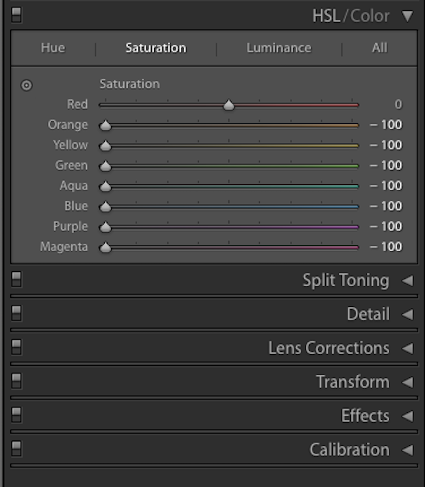 Saturation of all color options except red are reduced to -100. Red remains at a neutral 0.