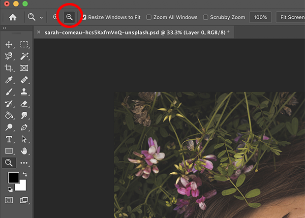 Zoom out icon circled in upper toolbar