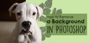 how to remove a background in photoshop