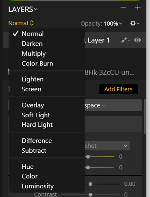 Luminar Layers panel 