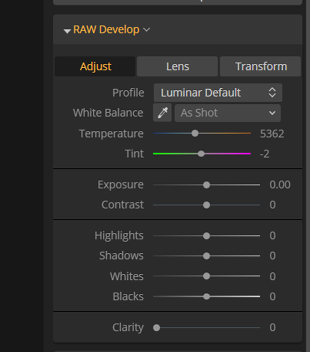 Adjust tab in Luminar's RAW Develop drop-down menu