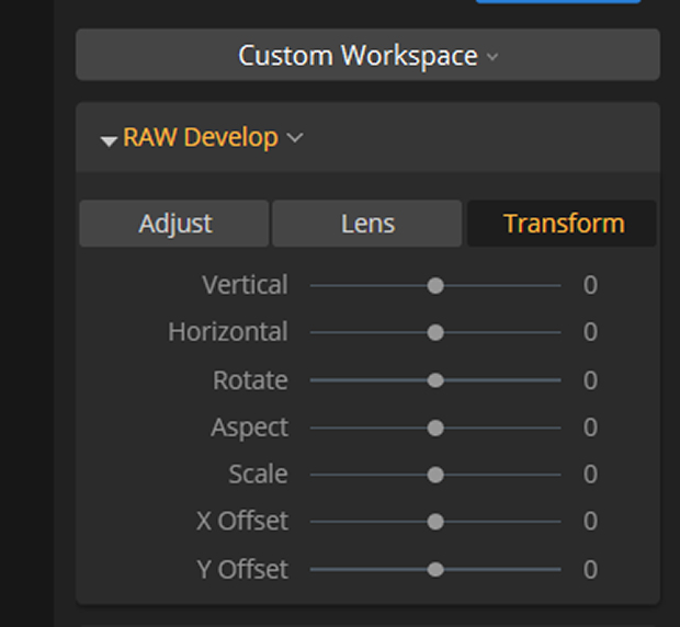 Transform tab in Luminar's RAW Develop drop-down menu