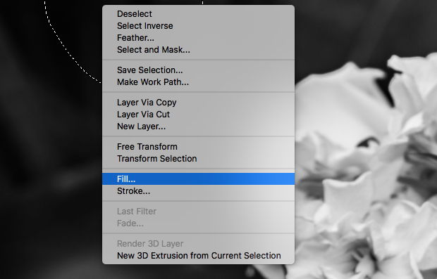 Open dialog box in Photoshop with "Fill" option selected