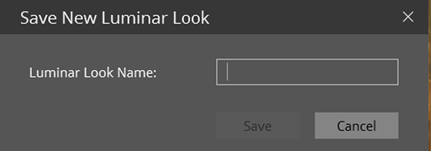 "Save New Luminar Look" dialog box in Luminar