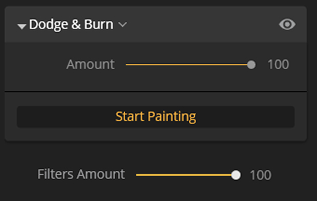 Dodge & Burn panel in Luminar