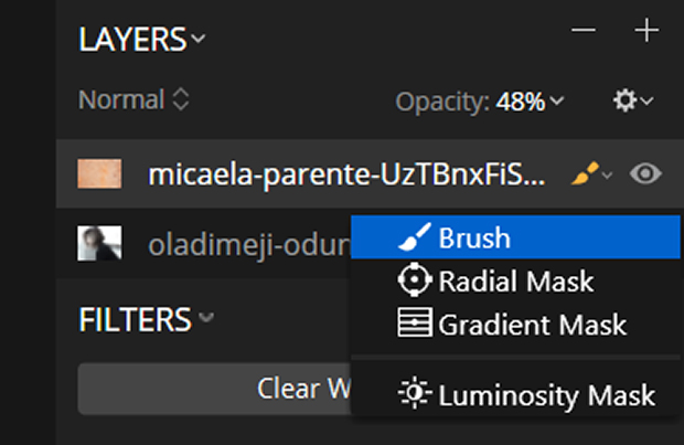 Brush tool selected