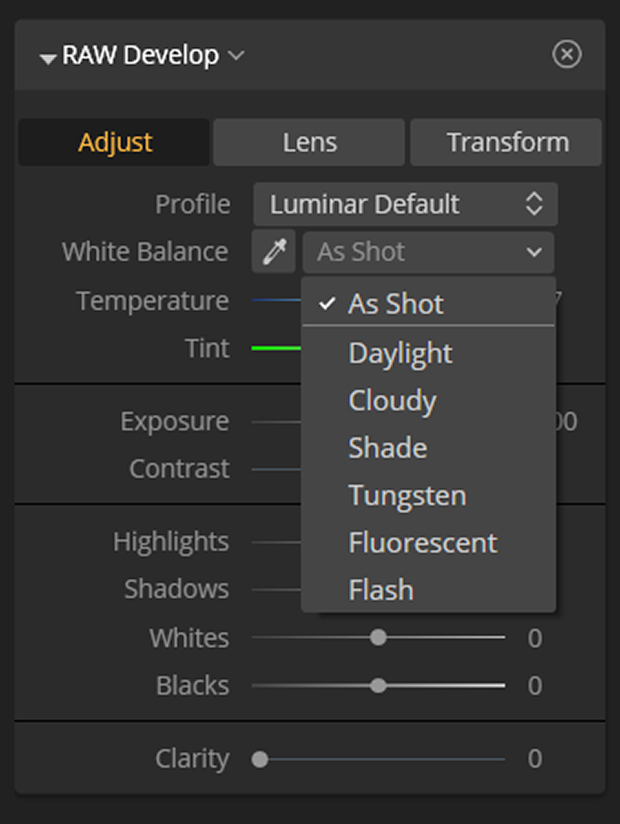 White balance adjustment option in Luminar