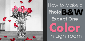 how to make a photo b&w except one color in Lightroom