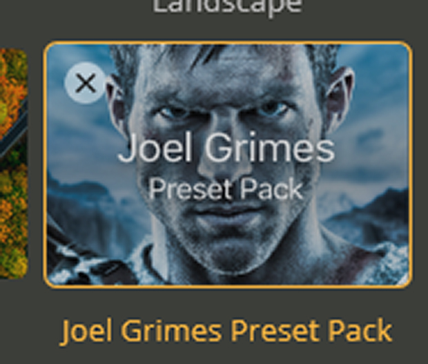 Joel Grimes Preset Pack