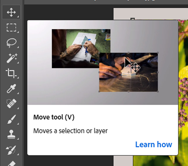 Move Tool hover screen