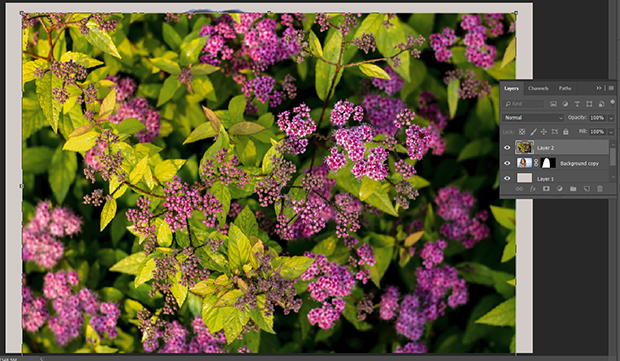 Layer with purple flower images