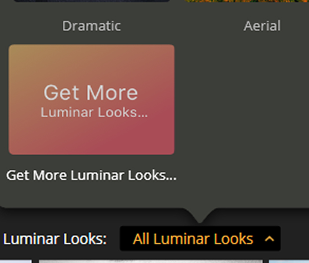 All Luminar Looks button