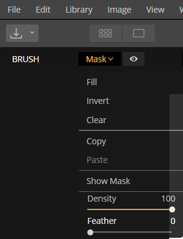 Brush mask options selected in Luminar