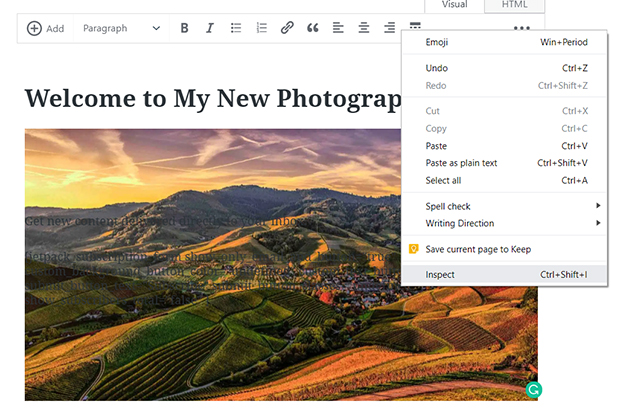 How to Make Background Image Responsive in WordPress | Envira