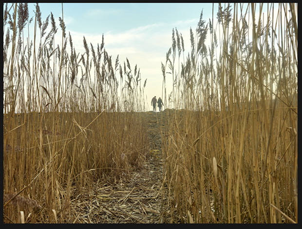 Original image of field with tall wheat stalks and two figures walking in the distance