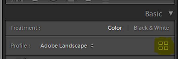 Lightroom basic develop module with Profile Browser button highlighted in yellow