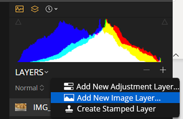 Layers panel with Add New Image Layer... selected in Luminar