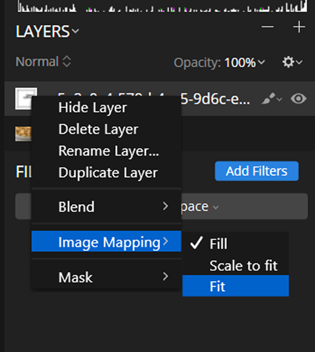 Image Mapping >> Fit in Luminar after double-clicking on logo layer thumbnail in Layers Panel