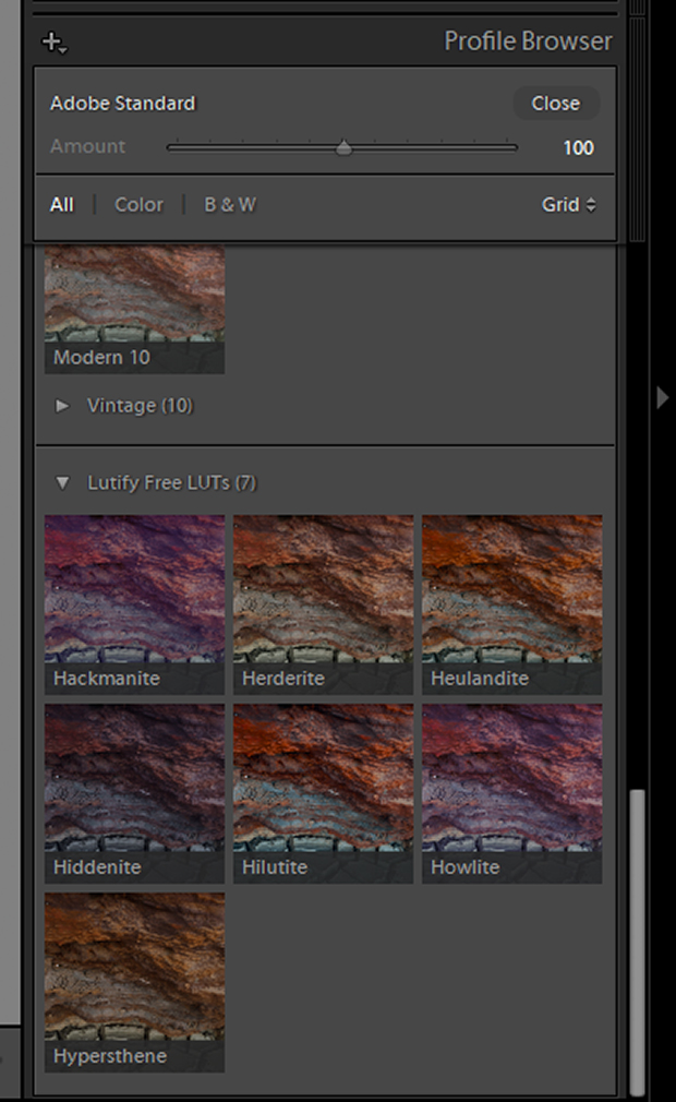 Profile Browser in Lightroom 