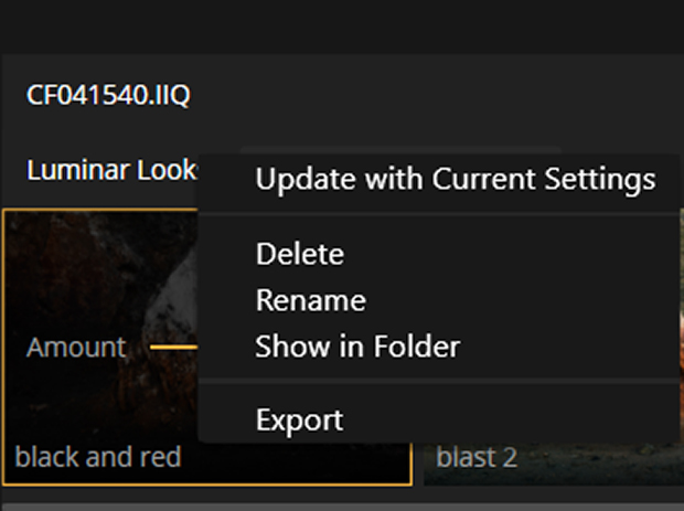 Editing menu in Luminar