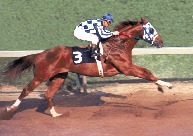 Jockey and horse during race captured by sports photographer