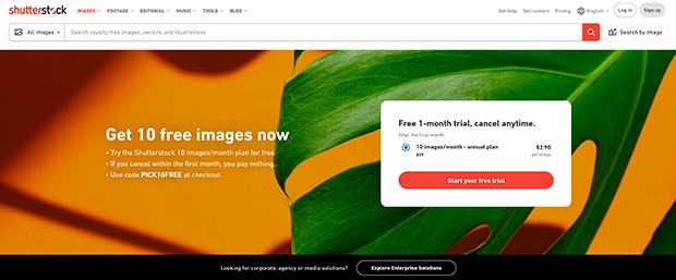 best premium stock photography websites