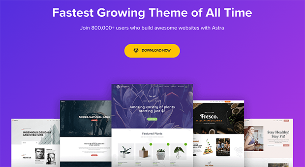 best photography wordpress themes astra