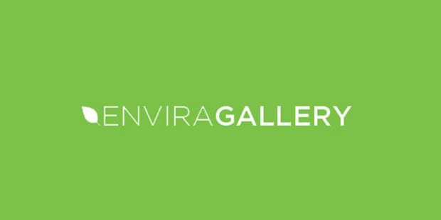 best free wordpress plugins for selling photos envira gallery